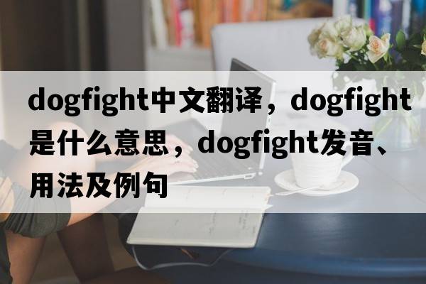 dogfight中文翻譯，dogfight是什么意思，dogfight發(fā)音、用法及例句