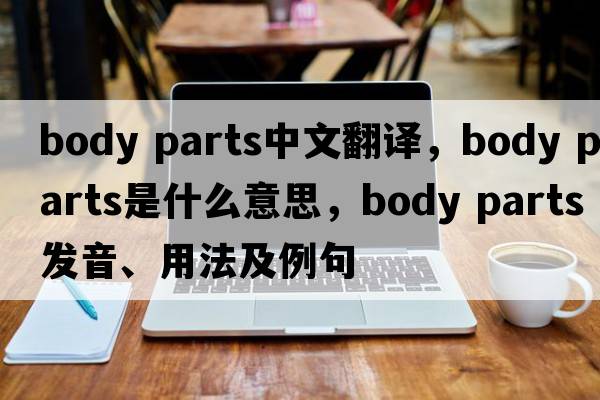 body parts中文翻譯，body parts是什么意思，body parts發(fā)音、用法及例句