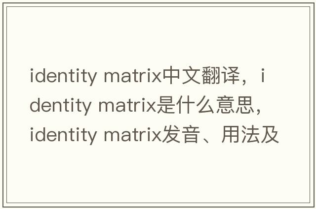 identity matrix中文翻譯，identity matrix是什么意思，identity matrix發(fā)音、用法及例句