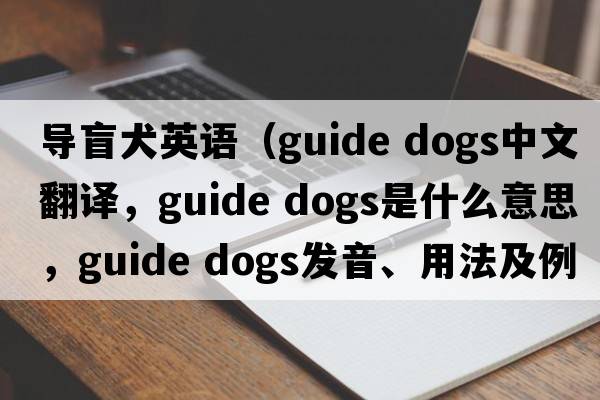 導盲犬英語(yǔ)（guide dogs中文翻譯，guide dogs是什么意思，guide dogs發(fā)音、用法及例句）