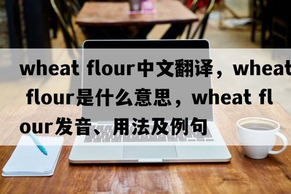 wheat flour中文翻譯，wheat flour是什么意思，wheat flour發(fā)音、用法及例句