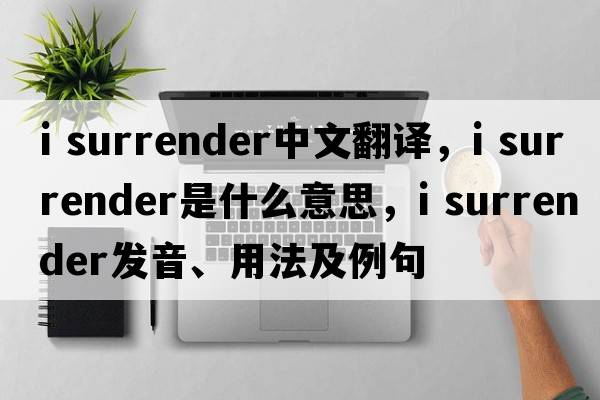 i surrender中文翻譯，i surrender是什么意思，i surrender發(fā)音、用法及例句