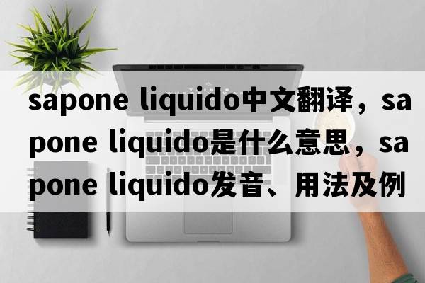 sapone liquido中文翻譯，sapone liquido是什么意思，sapone liquido發(fā)音、用法及例句