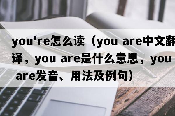 you're怎么讀（you are中文翻譯，you are是什么意思，you are發(fā)音、用法及例句）