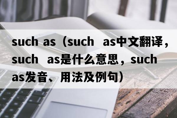 such as（such  as中文翻譯，such  as是什么意思，such  as發(fā)音、用法及例句）