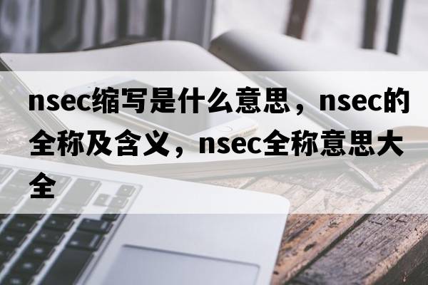 nsec縮寫(xiě)是什么意思，nsec的全稱(chēng)及含義，nsec全稱(chēng)意思大全