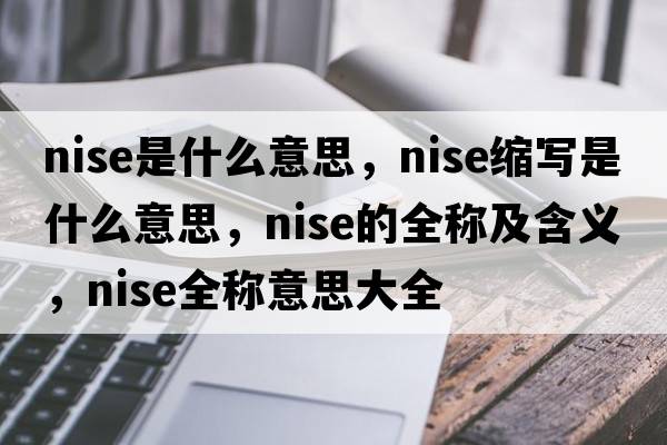 nise是什么意思，nise縮寫(xiě)是什么意思，nise的全稱(chēng)及含義，nise全稱(chēng)意思大全