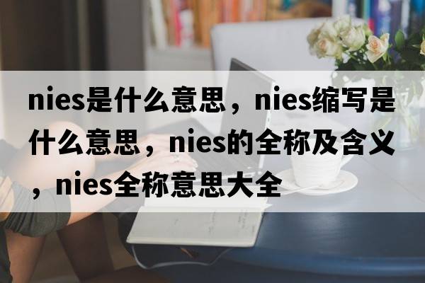 nies是什么意思，nies縮寫(xiě)是什么意思，nies的全稱(chēng)及含義，nies全稱(chēng)意思大全