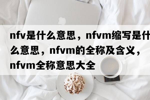 nfv是什么意思，nfvm縮寫(xiě)是什么意思，nfvm的全稱(chēng)及含義，nfvm全稱(chēng)意思大全