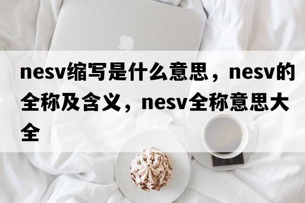 nesv縮寫(xiě)是什么意思，nesv的全稱(chēng)及含義，nesv全稱(chēng)意思大全