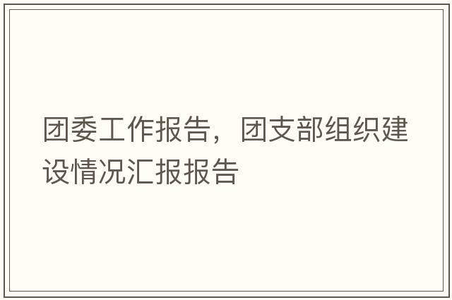 團委工作報告，團支部組織建設情況匯報報告