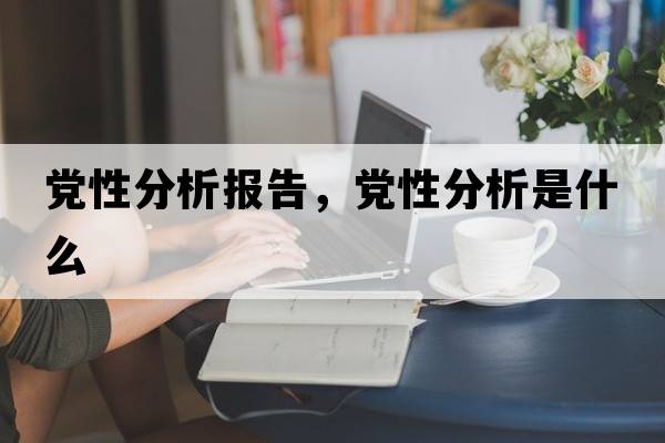黨性分析報告，黨性分析是什么