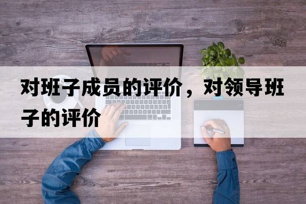 對班子成員的評價(jià)，對領(lǐng)導班子的評價(jià)
