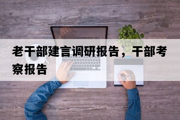 老干部建言調研報告，干部考察報告