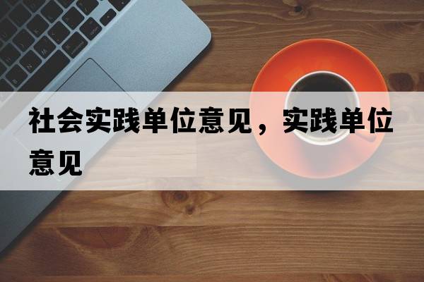 社會(huì )實(shí)踐單位意見(jiàn)，實(shí)踐單位意見(jiàn)