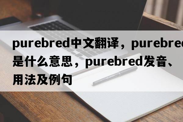 purebred中文翻譯，purebred是什么意思，purebred發(fā)音、用法及例句