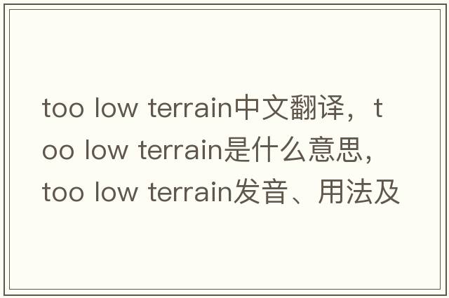 too low terrain中文翻譯，too low terrain是什么意思，too low terrain發(fā)音、用法及例句