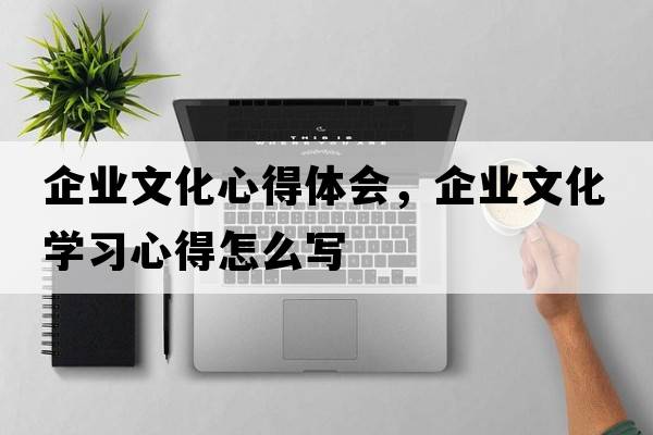 企業(yè)文化心得體會(huì )，企業(yè)文化學(xué)習心得怎么寫(xiě)