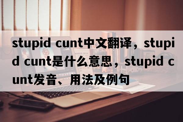 stupid cunt中文翻譯，stupid cunt是什么意思，stupid cunt發(fā)音、用法及例句