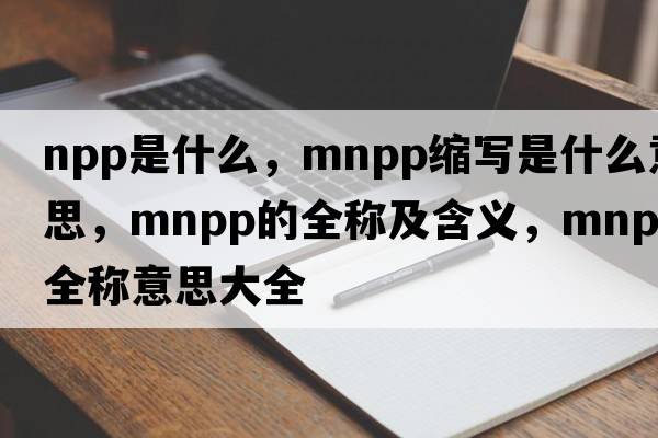 npp是什么，mnpp縮寫(xiě)是什么意思，mnpp的全稱(chēng)及含義，mnpp全稱(chēng)意思大全