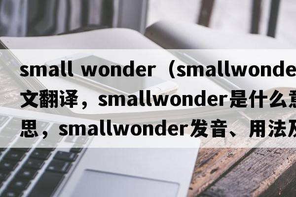 small wonder（smallwonder中文翻譯，smallwonder是什么意思，smallwonder發(fā)音、用法及例句）