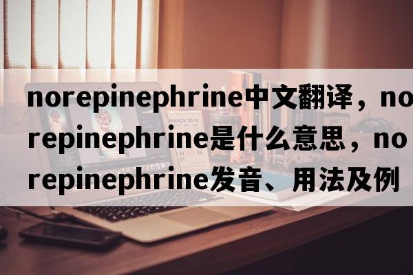norepinephrine中文翻譯，norepinephrine是什么意思，norepinephrine發(fā)音、用法及例句