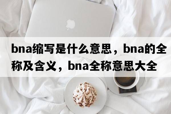 bna縮寫(xiě)是什么意思，bna的全稱(chēng)及含義，bna全稱(chēng)意思大全