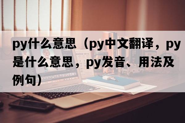 py什么意思（py中文翻譯，py是什么意思，py發(fā)音、用法及例句）