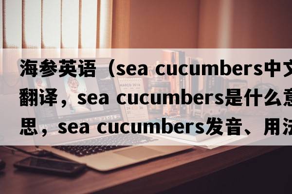 海參英語(yǔ)（sea cucumbers中文翻譯，sea cucumbers是什么意思，sea cucumbers發(fā)音、用法及例句）