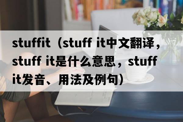 stuffit（stuff it中文翻譯，stuff it是什么意思，stuff it發(fā)音、用法及例句）