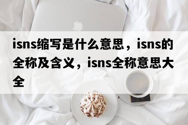 isns縮寫(xiě)是什么意思，isns的全稱(chēng)及含義，isns全稱(chēng)意思大全