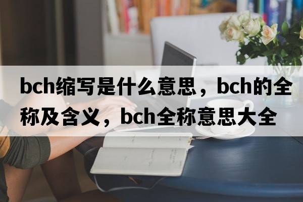 bch縮寫(xiě)是什么意思，bch的全稱(chēng)及含義，bch全稱(chēng)意思大全