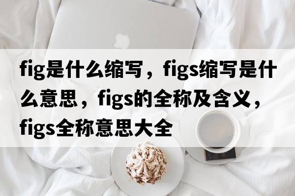 fig是什么縮寫(xiě)，figs縮寫(xiě)是什么意思，figs的全稱(chēng)及含義，figs全稱(chēng)意思大全