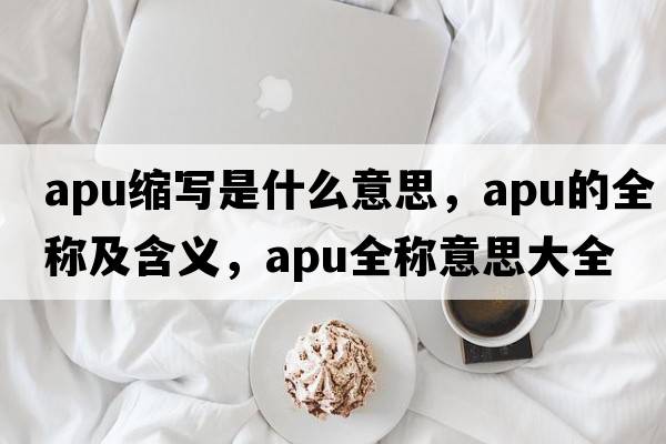 apu縮寫(xiě)是什么意思，apu的全稱(chēng)及含義，apu全稱(chēng)意思大全