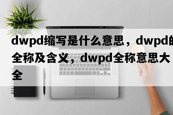 dwpd縮寫(xiě)是什么意思，dwpd的全稱(chēng)及含義，dwpd全稱(chēng)意思大全