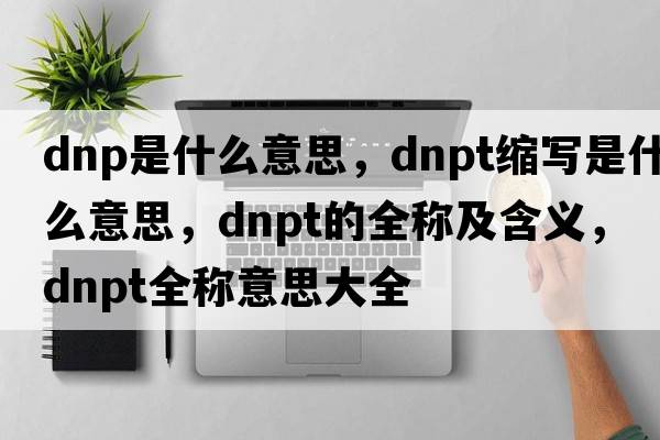 dnp是什么意思，dnpt縮寫(xiě)是什么意思，dnpt的全稱(chēng)及含義，dnpt全稱(chēng)意思大全