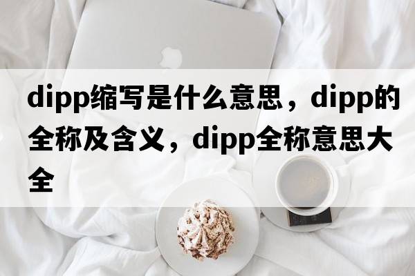 dipp縮寫(xiě)是什么意思，dipp的全稱(chēng)及含義，dipp全稱(chēng)意思大全