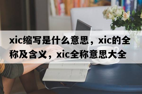 xic縮寫(xiě)是什么意思，xic的全稱(chēng)及含義，xic全稱(chēng)意思大全