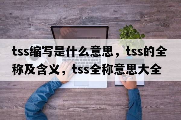 tss縮寫(xiě)是什么意思，tss的全稱(chēng)及含義，tss全稱(chēng)意思大全