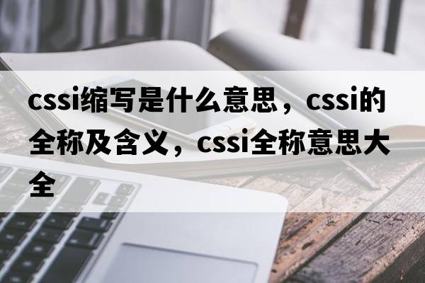 cssi縮寫(xiě)是什么意思，cssi的全稱(chēng)及含義，cssi全稱(chēng)意思大全