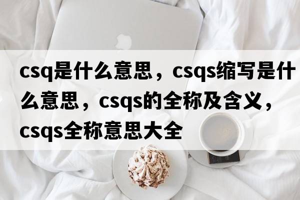 csq是什么意思，csqs縮寫(xiě)是什么意思，csqs的全稱(chēng)及含義，csqs全稱(chēng)意思大全