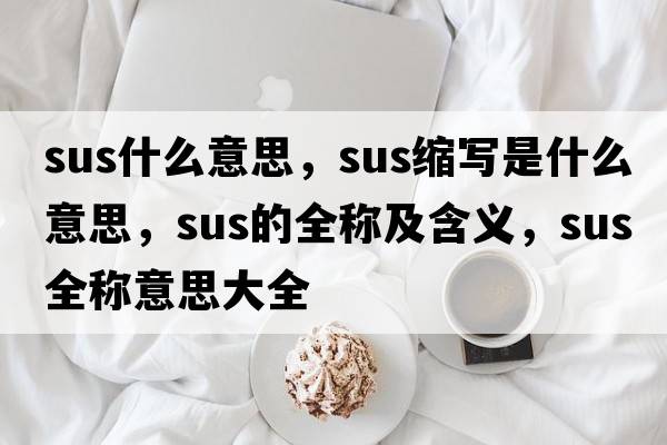 sus什么意思，sus縮寫(xiě)是什么意思，sus的全稱(chēng)及含義，sus全稱(chēng)意思大全
