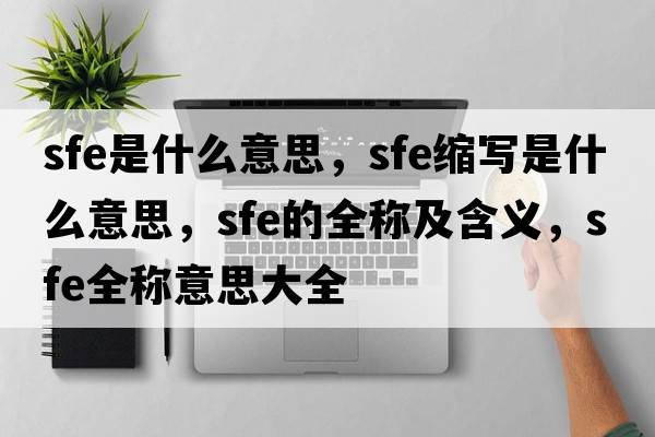 sfe是什么意思，sfe縮寫(xiě)是什么意思，sfe的全稱(chēng)及含義，sfe全稱(chēng)意思大全