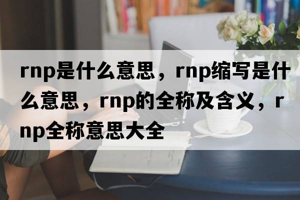 rnp是什么意思，rnp縮寫(xiě)是什么意思，rnp的全稱(chēng)及含義，rnp全稱(chēng)意思大全