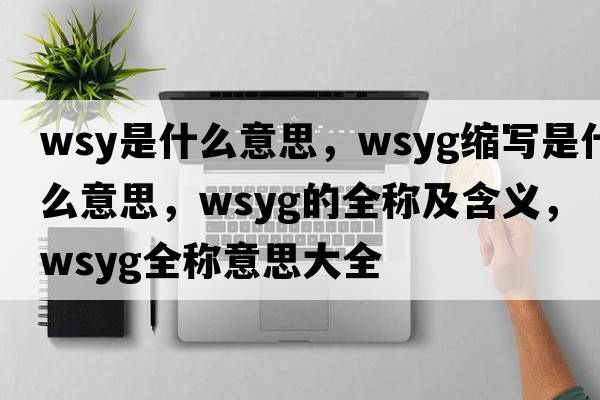 wsy是什么意思，wsyg縮寫(xiě)是什么意思，wsyg的全稱(chēng)及含義，wsyg全稱(chēng)意思大全