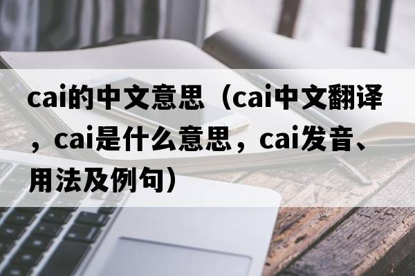 cai的中文意思（cai中文翻譯，cai是什么意思，cai發(fā)音、用法及例句）