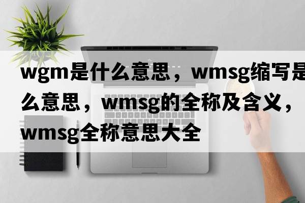 wgm是什么意思，wmsg縮寫(xiě)是什么意思，wmsg的全稱(chēng)及含義，wmsg全稱(chēng)意思大全