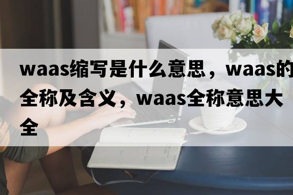 waas縮寫(xiě)是什么意思，waas的全稱(chēng)及含義，waas全稱(chēng)意思大全