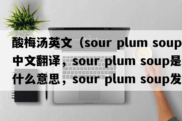 酸梅湯英文（sour plum soup中文翻譯，sour plum soup是什么意思，sour plum soup發(fā)音、用法及例句）