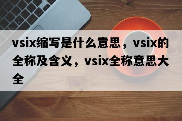 vsix縮寫(xiě)是什么意思，vsix的全稱(chēng)及含義，vsix全稱(chēng)意思大全